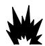 BRIGGS & STRATTON BRIGGS & STRATTON 542400 - ADVERTENCIA - 2