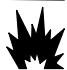 BRIGGS & STRATTON BRIGGS & STRATTON 542400 - ACHTUNG - 2