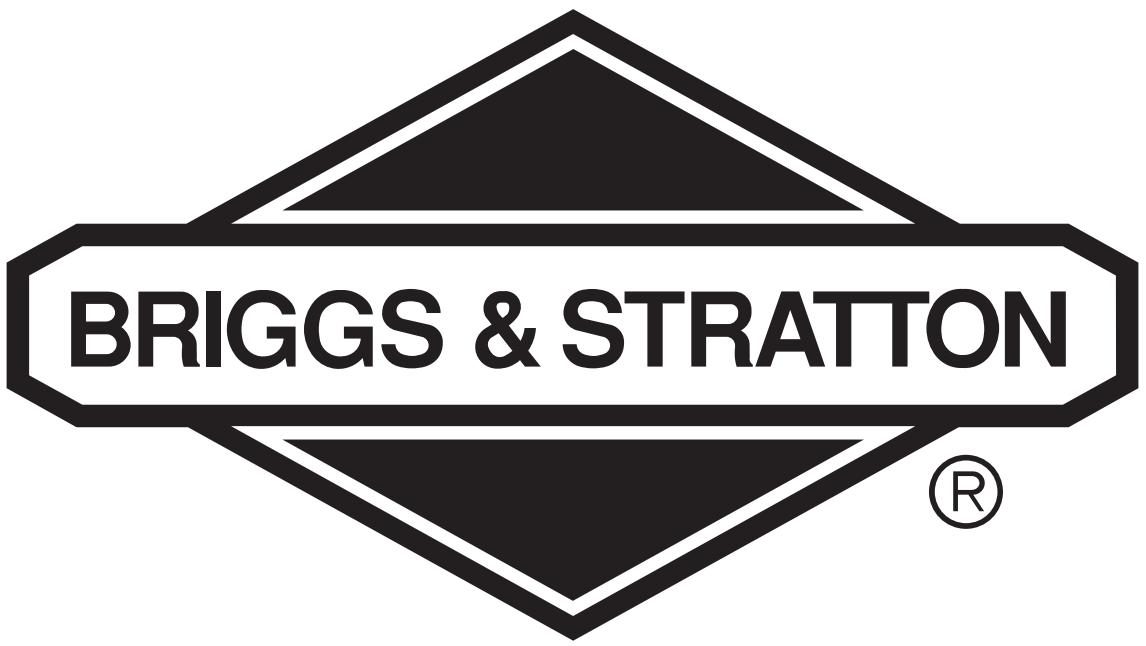 BRIGGS & STRATTON BRIGGS & STRATTON 21E400 - Entretien inadéquat: - 11