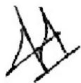 AVIDSEN ASTRELL 300 - Nom et qualite du signataire: - 1