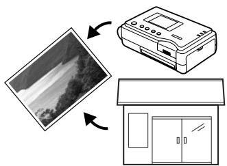 KYOCERA FINECAM SL300R - Digital printing - 1