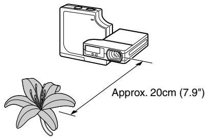 KYOCERA FINECAM SL300R - Using macro mode - 1