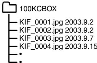 KYOCERA FINECAM SL300R - The date and time must be set. - 1