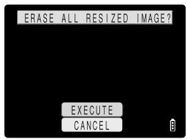 KYOCERA FINECAM SL300R - Erasing all resized images - 2
