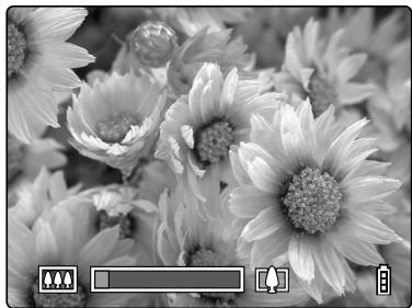 KYOCERA FINECAM SL300R - Press the [ ] side of the zoom button until the image is fully zoomed. - 1