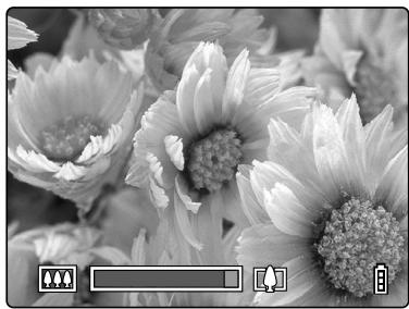 KYOCERA FINECAM SL300R - Press the [ ] side of the zoom button until the image is fully zoomed. - 4