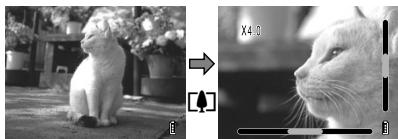 KYOCERA FINECAM SL300R - [PLAYBACK ZOOM] Viewing Your Images Enlarged - 1