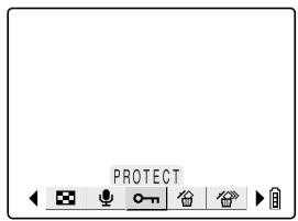 KYOCERA FINECAM SL300R - Protecting an image - 1