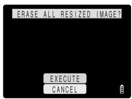 KYOCERA SL300R - Erasing all resized images - 2