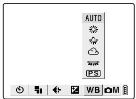 KYOCERA SL300R - [WB] Determining the White Balance - 4