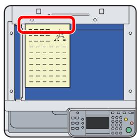 KYOCERA FS-C8020MFP - Originaux sur la glace d'exposition - 1