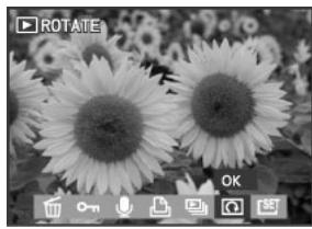 MEDION BDALT41856 - Rotation des images - 2