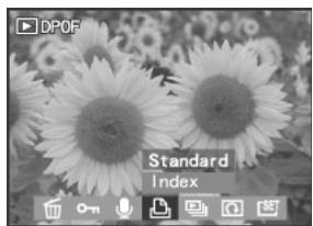 MEDION BDALT41856 - Enregistrement de clips audio pour images fixes - 19