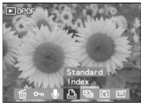 MEDION BDALT41856 - Enregistrement de clips audio pour images fixes - 16