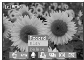 MEDION BDALT41856 - Enregistrement de clips audio pour images fixes - 3