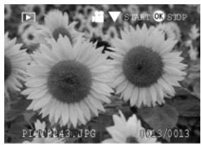 MEDION BDALT41856 - Visualisation des images fixes - 17