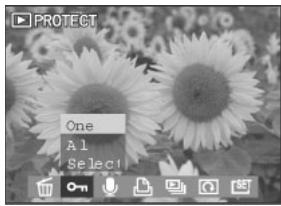 MEDION BDALT41856 - Protection des photos et des clips vidéo - 1