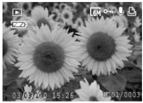 MEDION BDALT41856 - Visualisation des images fixes - 2