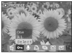 MEDION BDALT41856 - Protection des photos et des clips vidéo - 4
