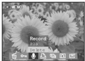 MEDION BDALT41856 - Enregistrement de clips audio pour images fixes - 5