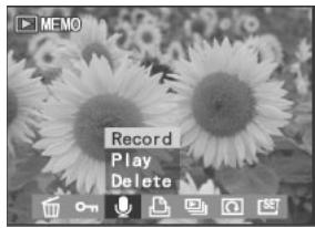 MEDION BDALT41856 - Enregistrement de clips audio pour images fixes - 1