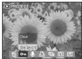 MEDION MD 41856 - Protection des photos et des clips vidéo - 3