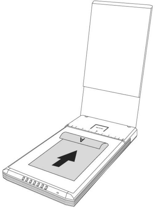 MEDION SCANNER MD 90090 - Numeriser un document - 1
