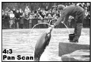 MEDION MD 81290 - Affichage écran - 1