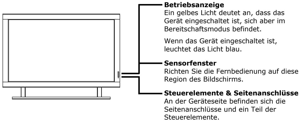 MEDION 50 PLASMA DISPLAY MD 30150 - STEUERELEMENTE UND SEITENANSCHLUSSE - 1