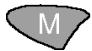 MEDION BLOOD PRESSURE MONITOR MD 42780 - Invoquer les valeurs enregistrées - 2