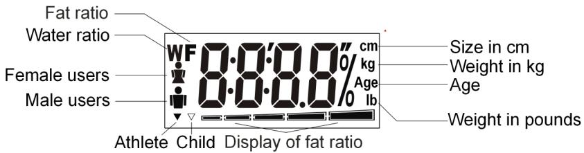 MEDION BODY FAT SCALE MM 10624 - The messages in the display - 1