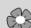 MEDION DISNEY TV PRINCESS MD 3722 - OSD-Sprache wahlen - 1