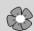 MEDION DISNEY TV PRINCESS MD 3722 - Impostazione dei programmi - 1