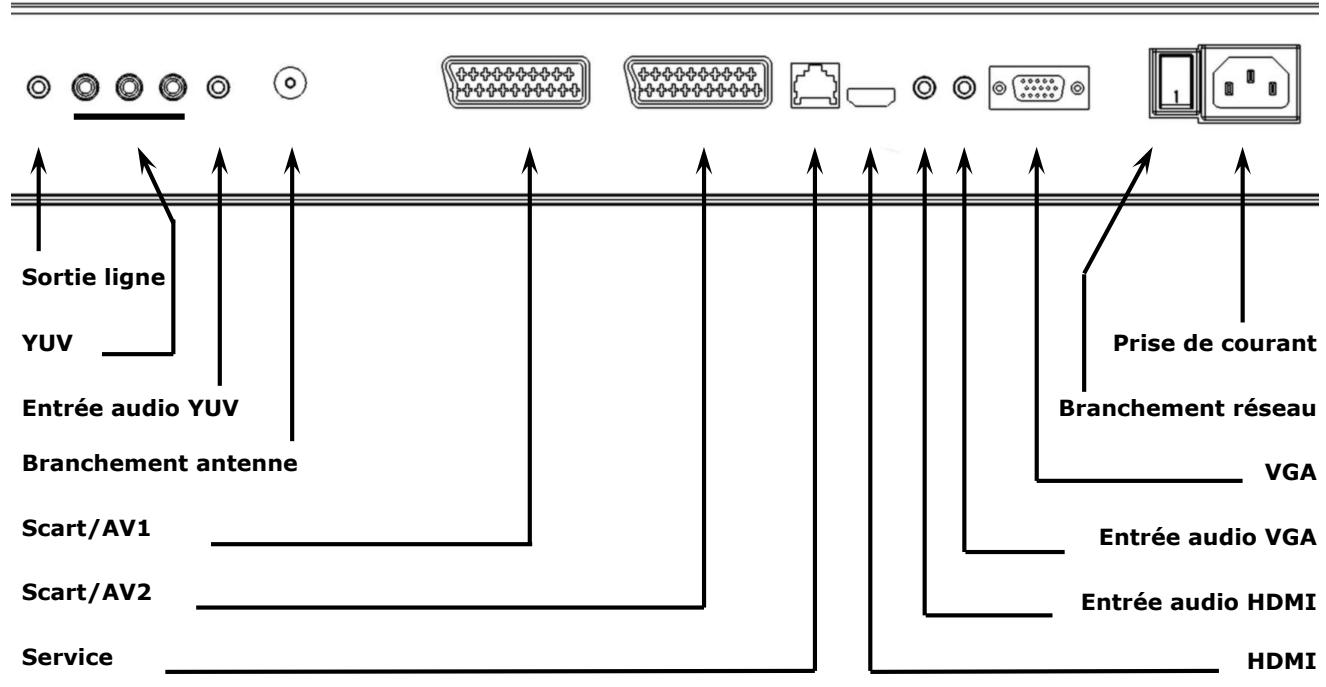 MEDION LCD TV MD 30264 - ARRIERE DE L'APPAREIL ET BRANCHEMENTS - 1