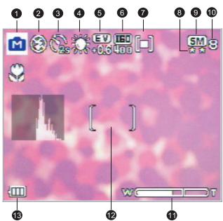 MEDION MD 85472 - Snapshot Mode LCD Monitor Information - 1
