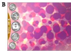 MEDION MD 85472 - English - 2