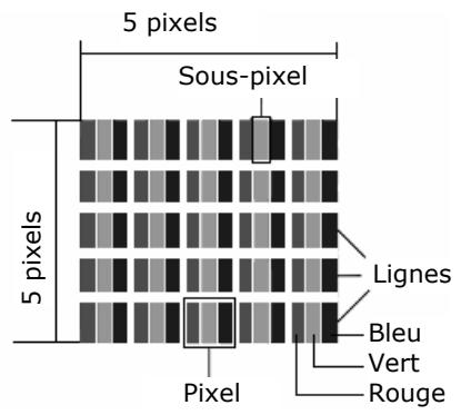 MEDION MD 30079 - Pixels défectueux des écrans LCD (écrans TFT) - 1