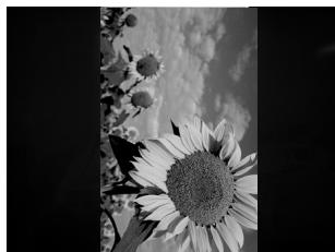 DAEWOO DF-4200S - Lecture de fichiers MP3 pendant un diaporama - 3