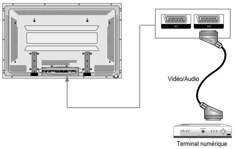 DAEWOO DP-4220LV - Connectez le terminal numérique à l'écran plasma - 1