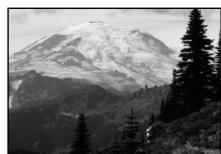 DAEWOO DVG-5000N - NORMAL / PS - 1