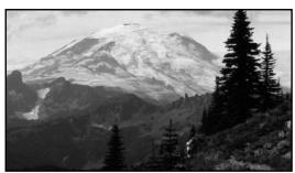 DAEWOO DVG-5000N - 3.16/9 - 1