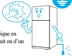 DAEWOO SRN500 - Mise à la TERRE - 1