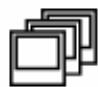 PARROT CADRE  BY ANDREE PUTMAN - - Menu principal - 4