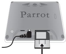 PARROT DF3120 - aolb2 20 plesuX1.3 - 1