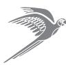 PARROT NOMAD - 1