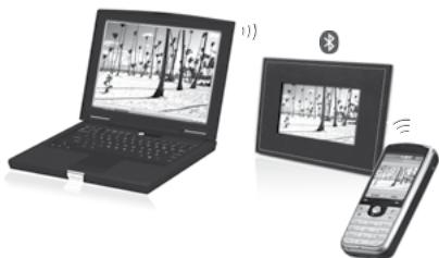 PARROT PHOTO VIEWER 7CC - INTRODUÇÃO - 1