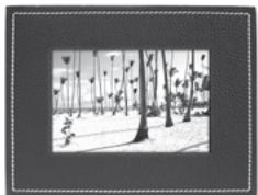 PARROT PHOTO VIEWER 7CC - Volgorde van verschijning van de afbeeldingen - 1
