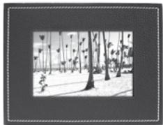 PARROT PHOTO VIEWER 7CC - Ordre d' apparition des images - 1