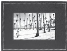 PARROT PHOTO VIEWER 7CC - Orden de aparicio de las imagenes - 1