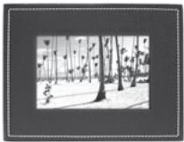PARROT PHOTO VIEWER 7CC - PLAATSING VAN DE LIJST - 1